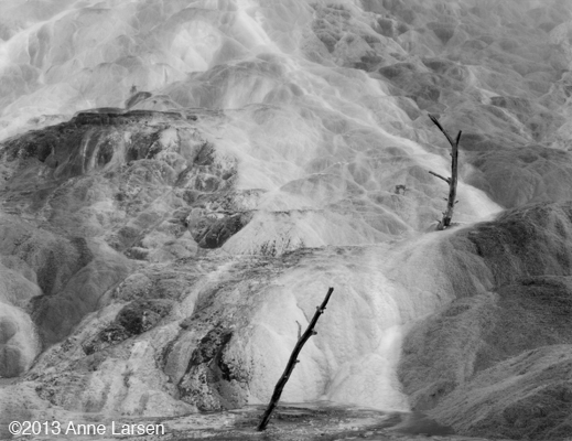 Gelatin Silver Print by Anne Larsen, at Sun to Moon Gallery, Dallas, TX 